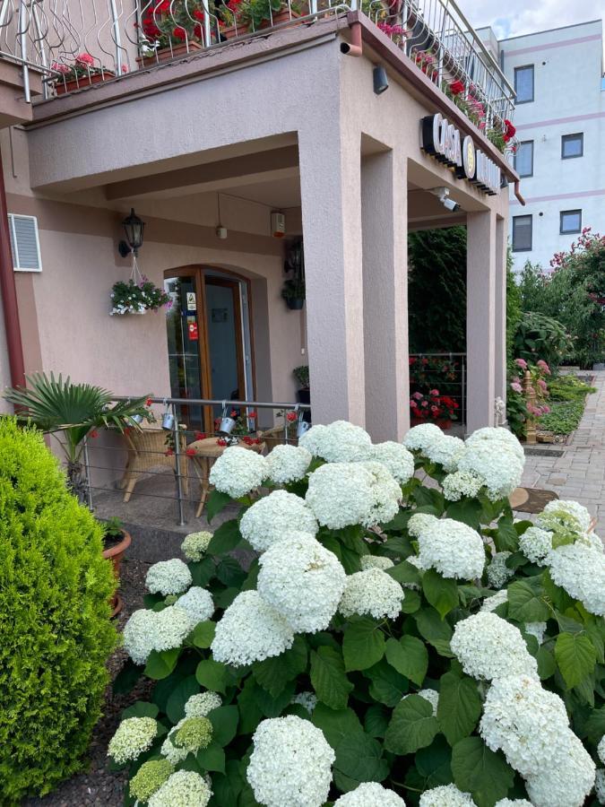 Ametist Casa Leului Hotel Năvodari Buitenkant foto