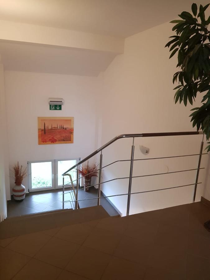 Ametist Casa Leului Hotel Năvodari Buitenkant foto